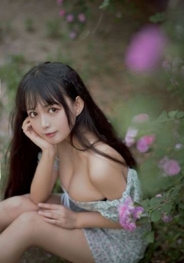 宁安如梦免费观看