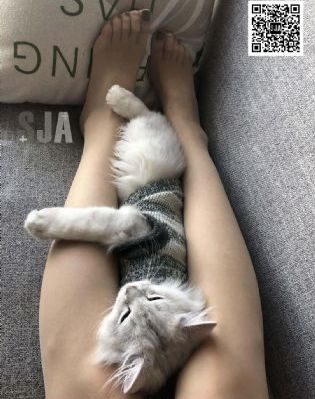 闪婚急诊沈医生短剧免费观看