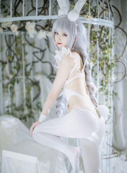 淑女欲望