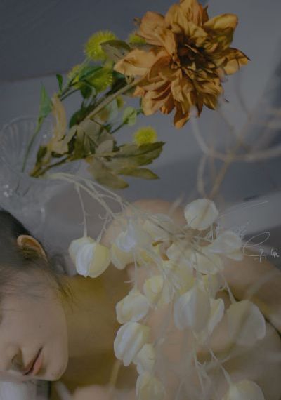黑莲花攻略手册电视剧