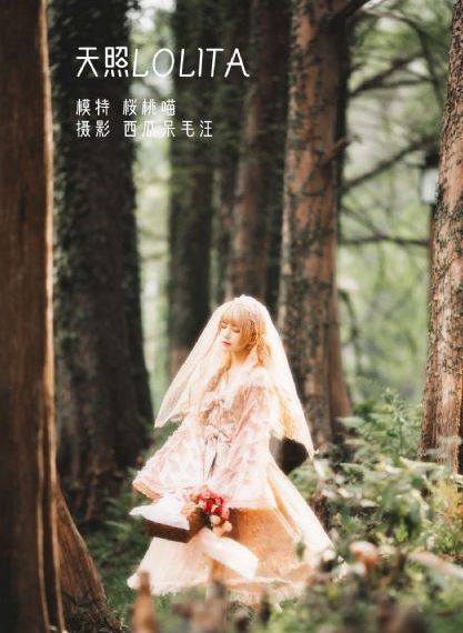 嘉庆皇帝