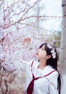 待到山花烂漫时电视剧免费观看